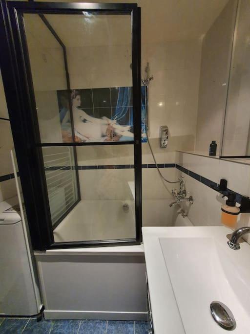 Appartement Dans Un Jardin جنيفا المظهر الخارجي الصورة