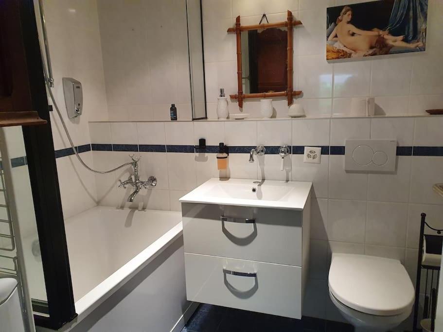 Appartement Dans Un Jardin جنيفا المظهر الخارجي الصورة
